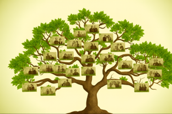 Explore Wareham family history and genealogy Wareham family tree research in this second part of our series, featuring records, resources, and ancestral insights.